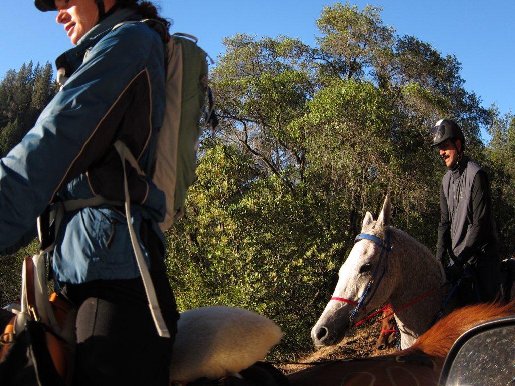 Horse Trail